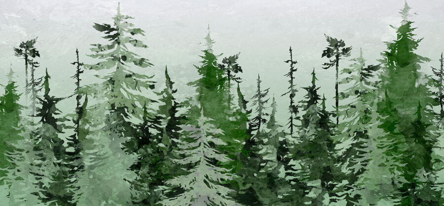 Grupo de árvores numa floresta