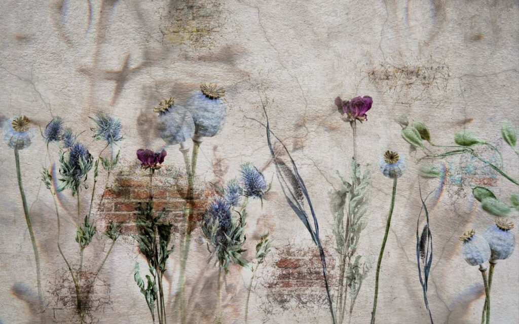 Muro com flores e um muro de tijolo Muro com flores e um muro de tijolo