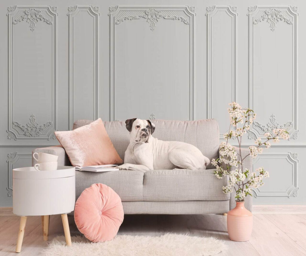 Wall with white walls