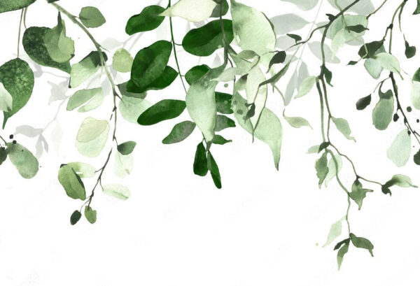 Desenho de fundo elegante de folhas verdes. Desenho de fundo elegante de folhas verdes.