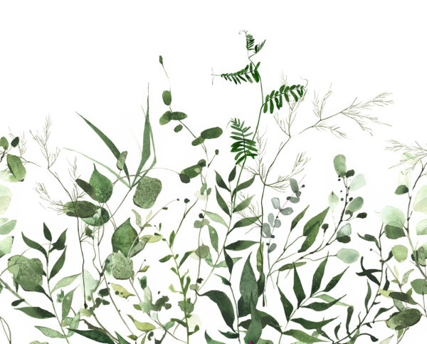 Vegetação luxuriante sobre um fundo branco. Vegetação luxuriante sobre um fundo branco.