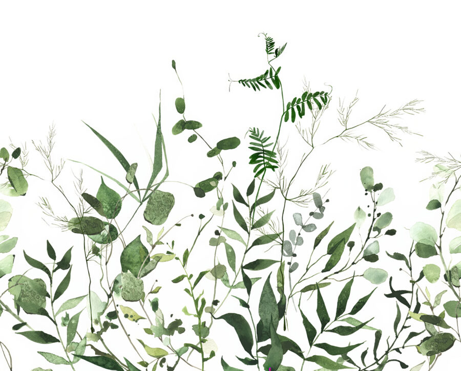 Vegetação luxuriante sobre um fundo branco.