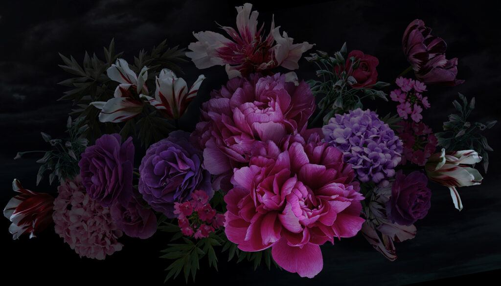 Grupo de flores sobre um fundo preto Grupo de flores sobre um fundo preto