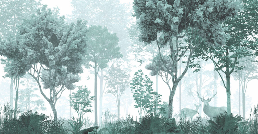 Uma floresta com árvores e plantas