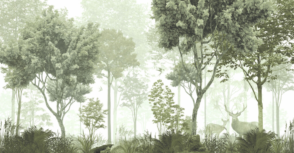 Uma floresta com árvores e plantas Uma floresta com árvores e plantas