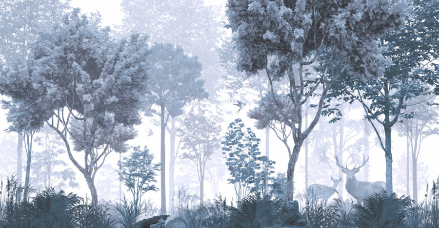 Uma floresta com árvores e plantas
