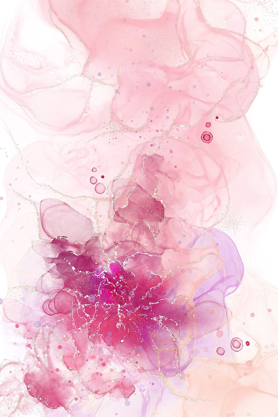 Flor cor-de-rosa e roxa u71845p - Flor cor-de-rosa e roxa - tegory