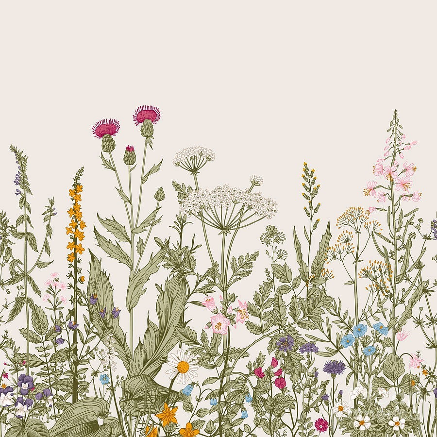 Fileira de flores e plantas