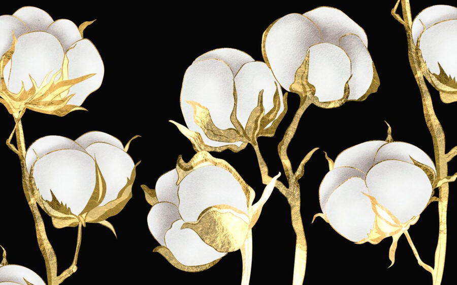 Flores de algodão sobre um fundo escuro