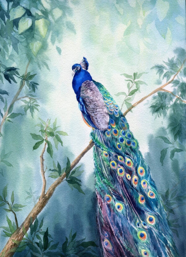 Aguarela de um pavão num ramo Aguarela de um pavão num ramo