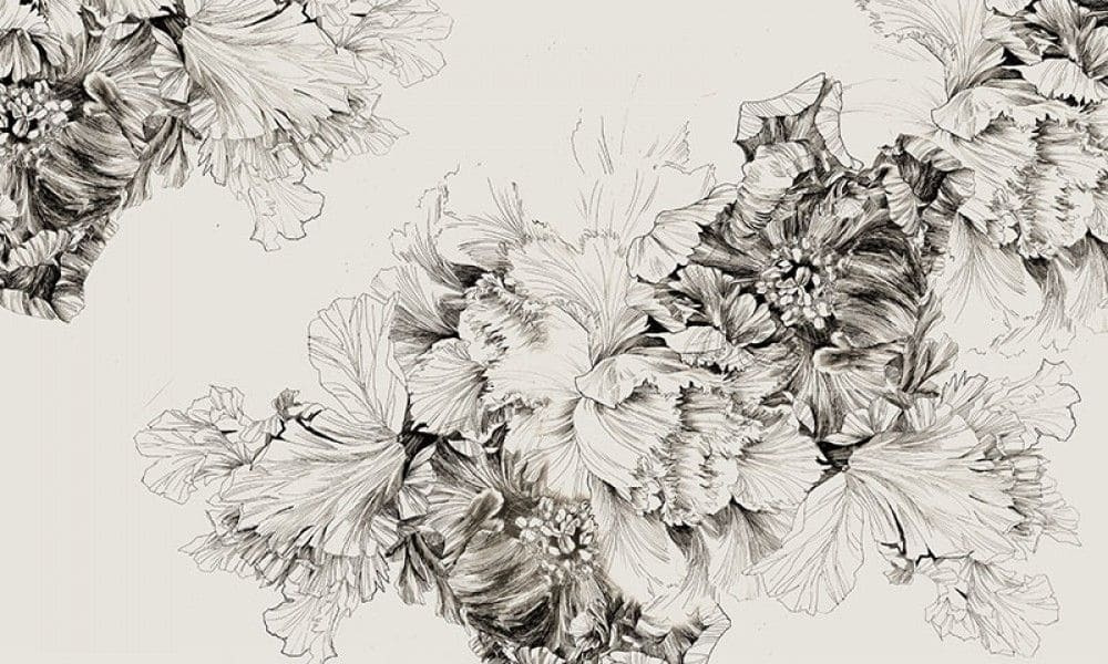 Desenho de flores sobre um fundo branco Desenho de flores sobre um fundo branco