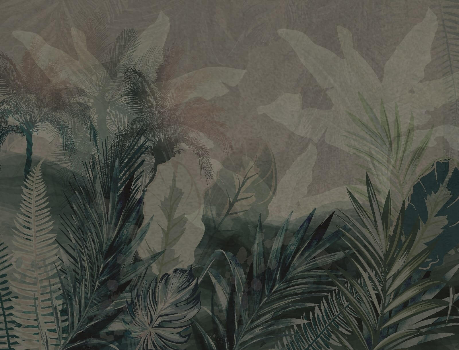 u71423p - Grupo de folhas sobre um fundo cinzento - tegory