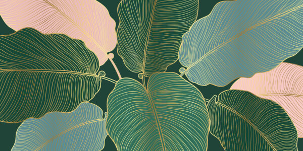 Folhas tropicais com linhas elegantes. Folhas tropicais com linhas elegantes.