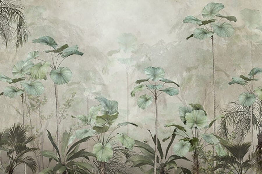 Grupo de plantas numa floresta com nevoeiro