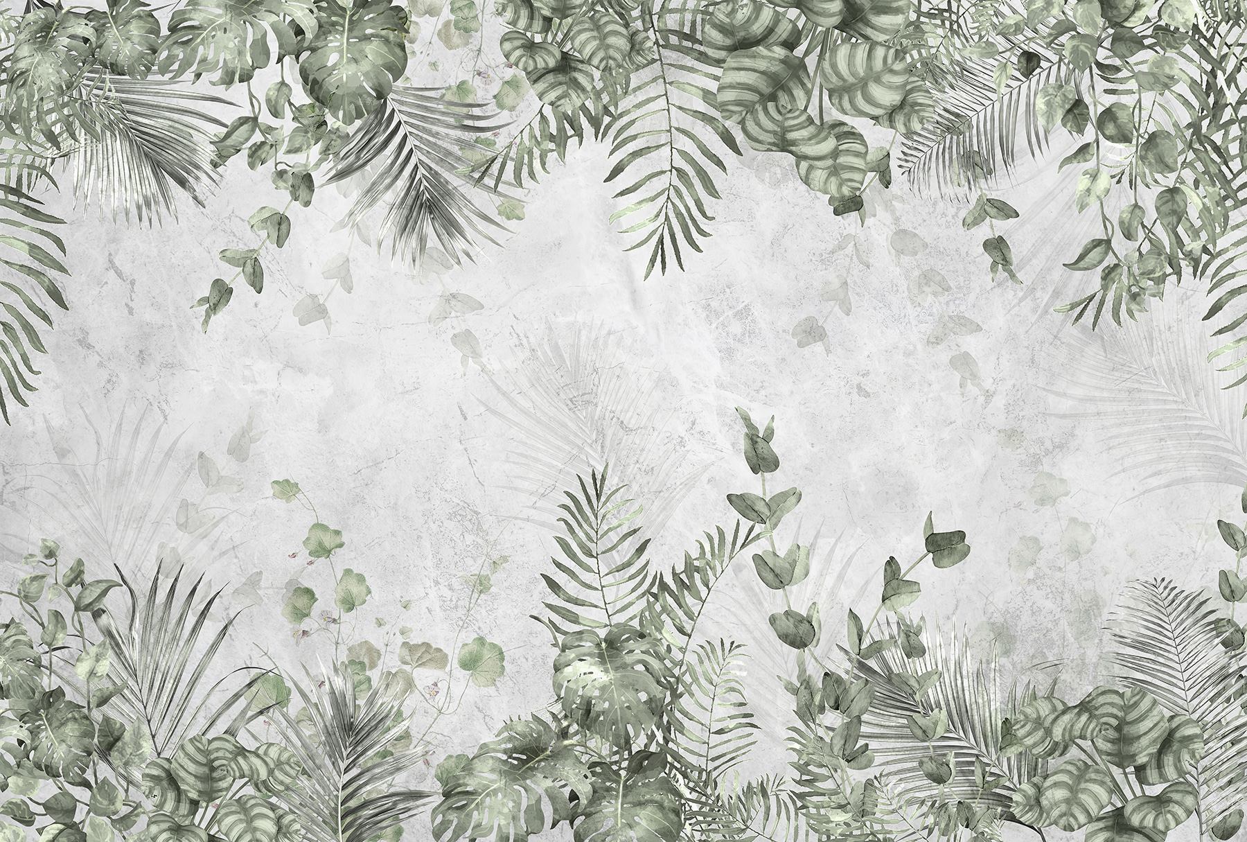 u71246p - Um grande plano das folhas - tegory