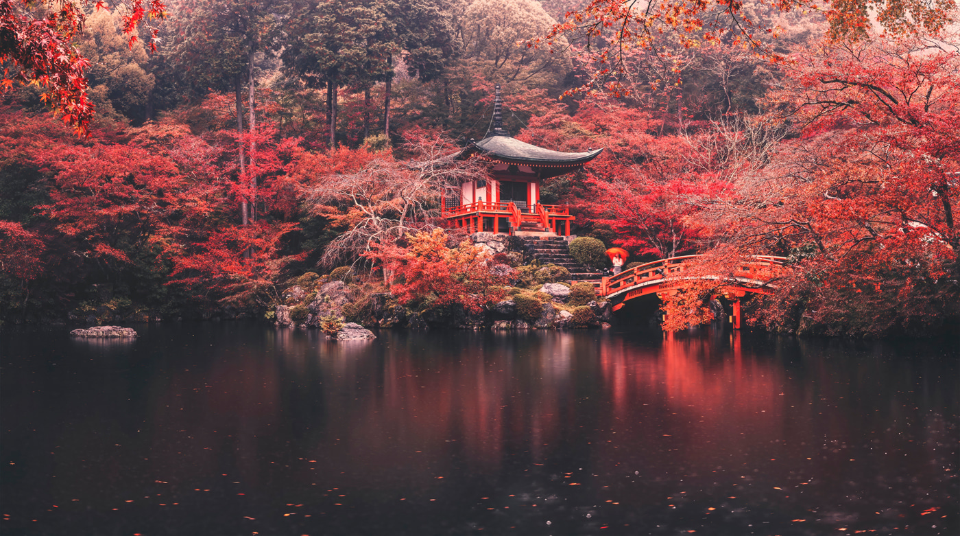 Small building with red bridge over water Small building with red bridge over water