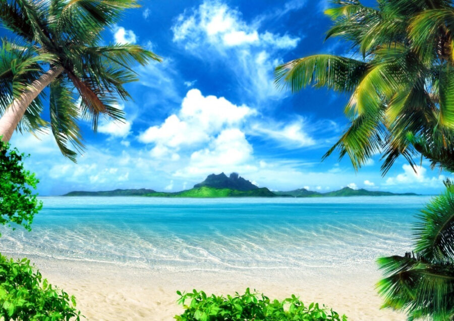 Praia com palmeiras e água azul