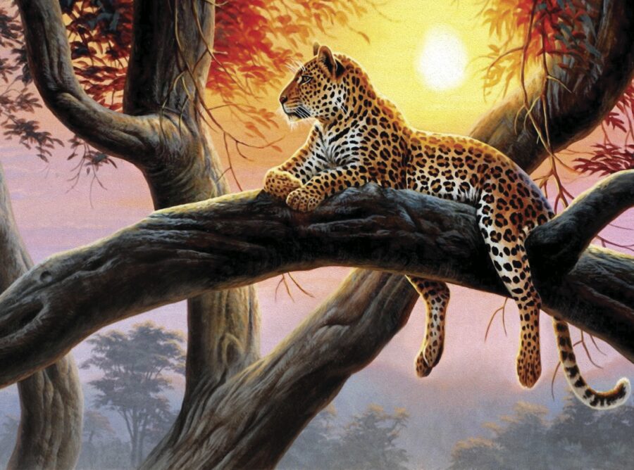 Leopardo deitado num ramo de árvore