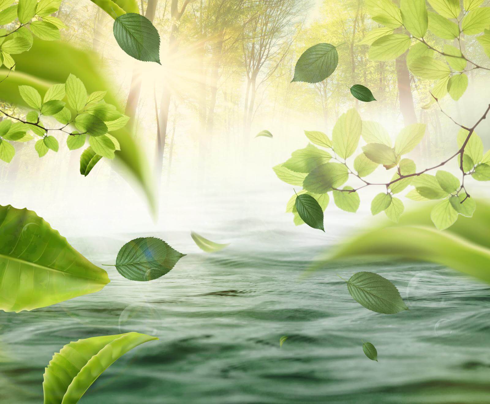 Água com folhas a voar pelo ar u62860p - Água com folhas a voar pelo ar - tegory