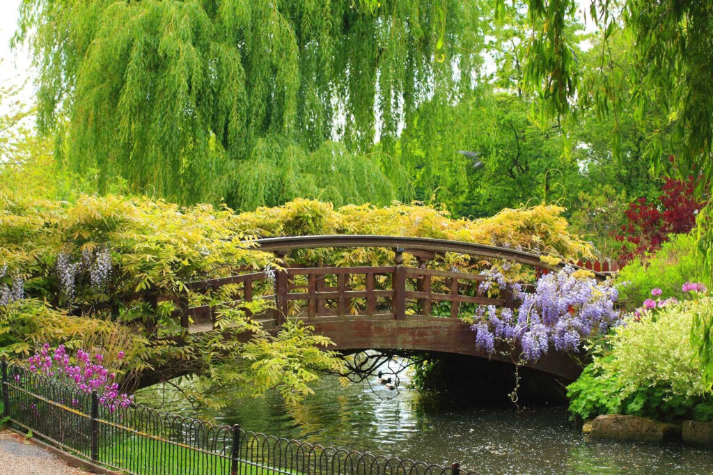 Ponte sobre a água com árvores e plantas Ponte sobre a água com árvores e plantas