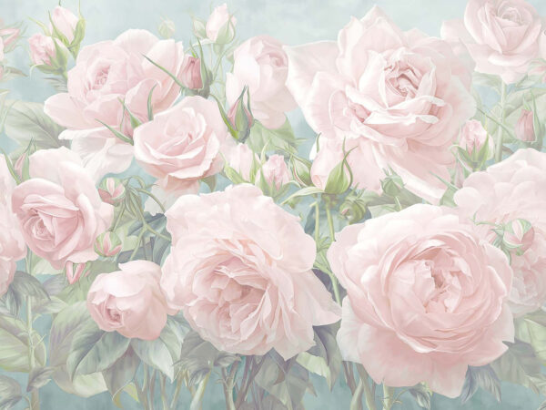 Grupo de rosas cor-de-rosa Grupo de rosas cor-de-rosa