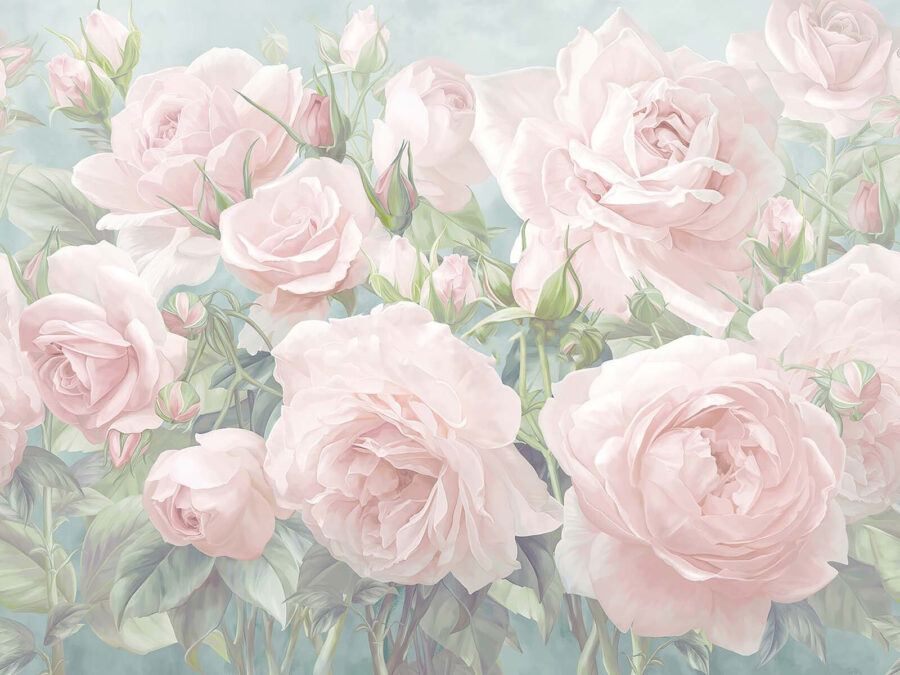 Grupo de rosas cor-de-rosa