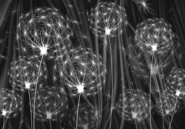 Sementes delicadas prontas a dispersar-se Sementes delicadas prontas a dispersar-se
