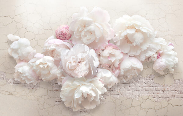Ramo de flores brancas Ramo de flores brancas