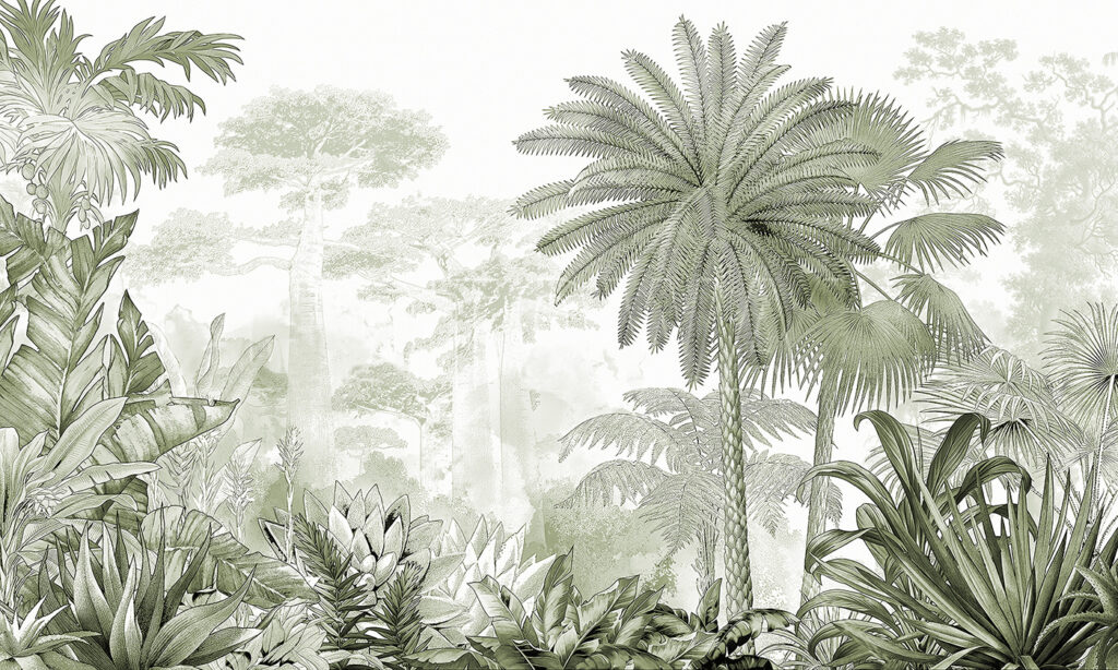 Um grupo de árvores e plantas Um grupo de árvores e plantas