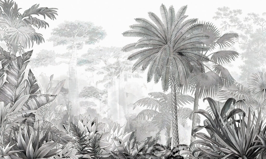 Imagem a preto e branco de uma floresta Imagem a preto e branco de uma floresta