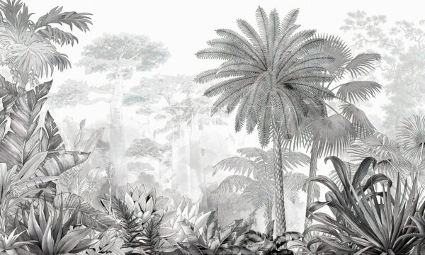 Imagem a preto e branco de uma floresta Imagem a preto e branco de uma floresta