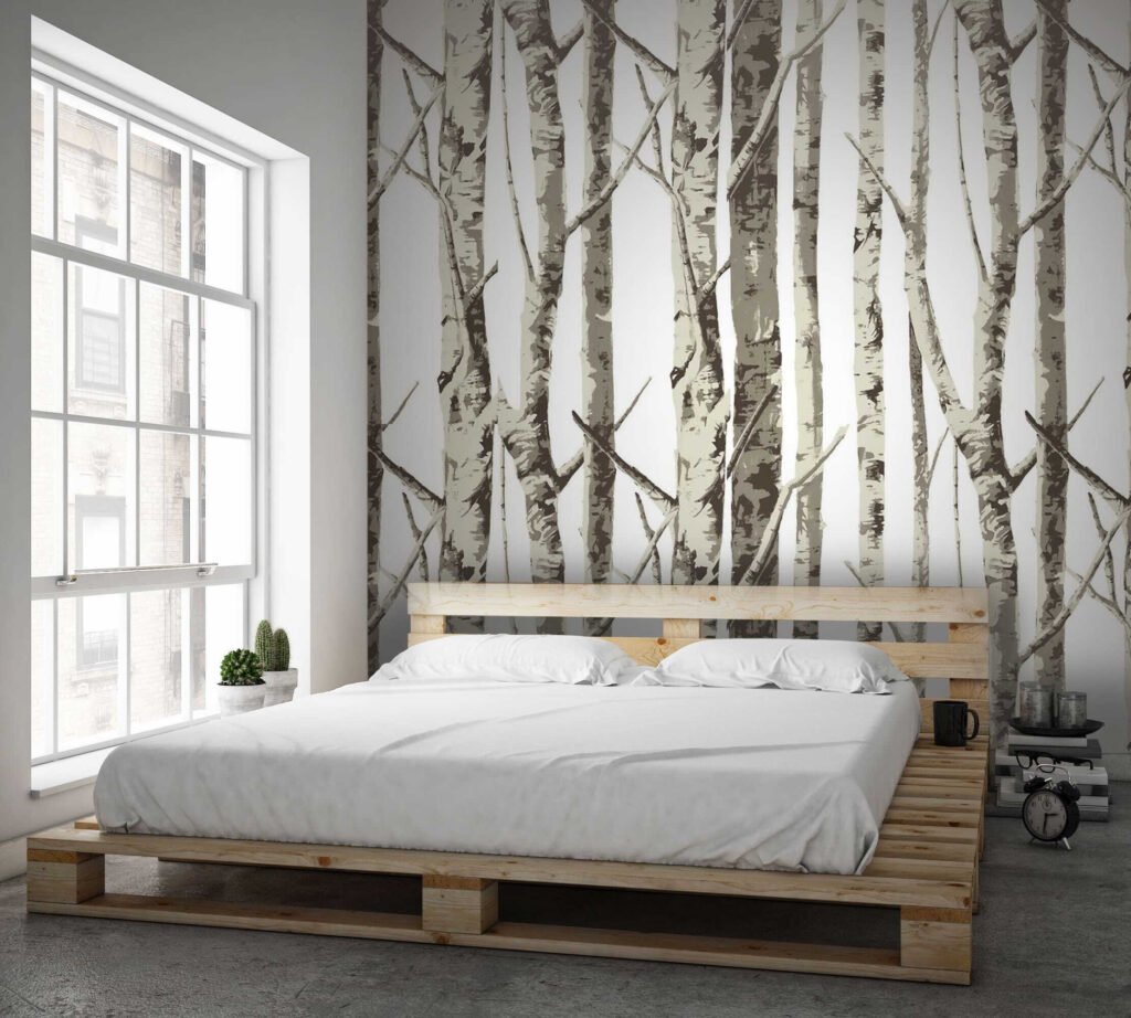 Group of trees with no leaves Group of trees with no leaves