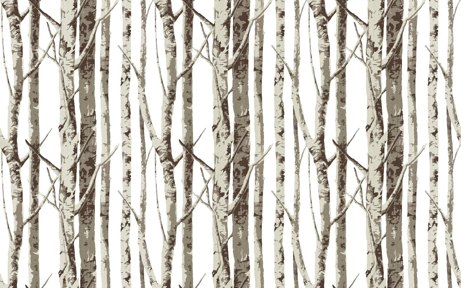 Group of trees with no leaves Group of trees with no leaves