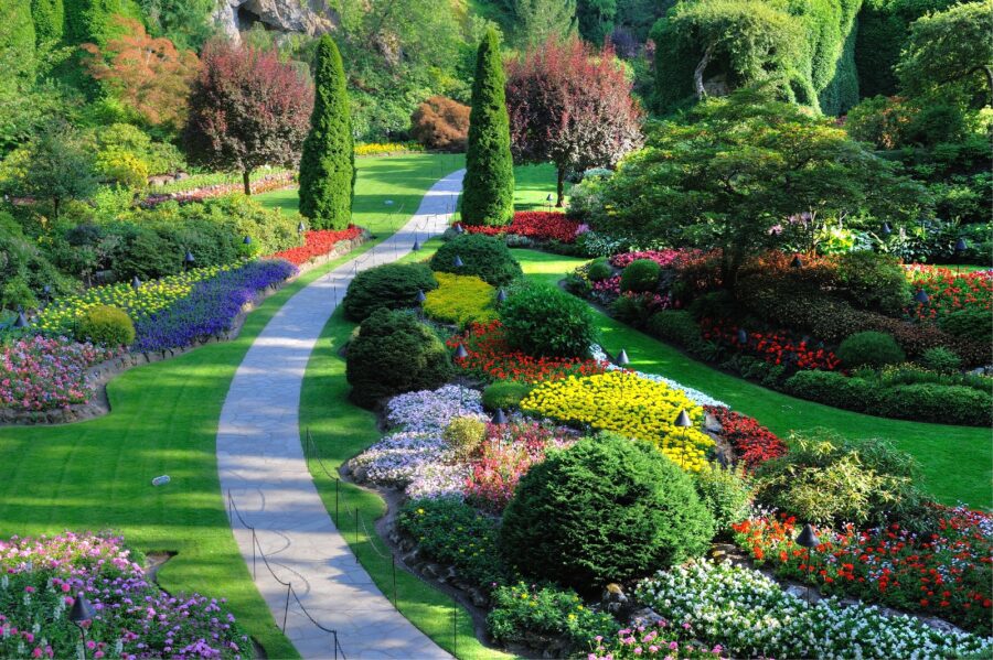 Jardim com muitas flores e árvores Jardim com muitas flores e árvores
