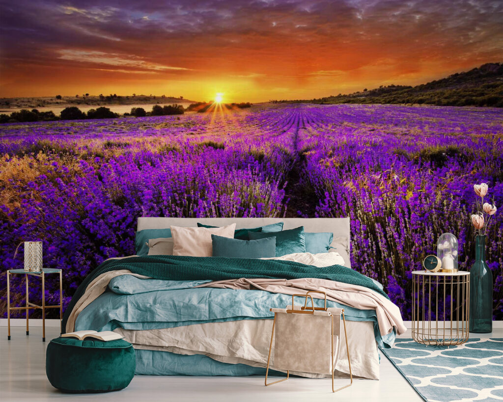 Field of purple flowers Field of purple flowers