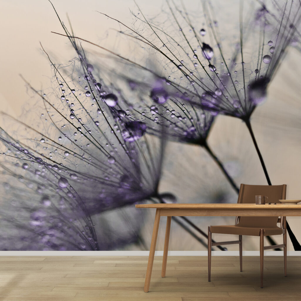 Delicate droplets on fragile petals