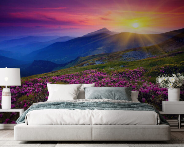 Campo de flores com o sol a pôr-se por detrás Campo de flores com o sol a pôr-se por detrás