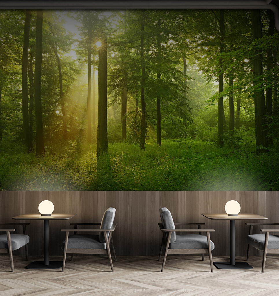 Sun shining through trees