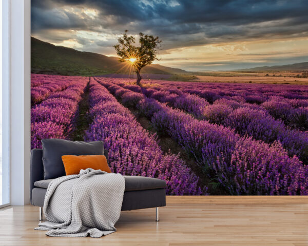 Árvore num campo de alfazema Árvore num campo de alfazema