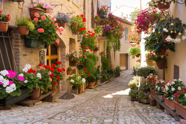 Street with flowers on the side Street with flowers on the side