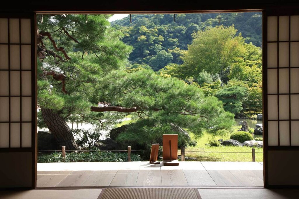 Vista de uma floresta a partir de um quarto Vista de uma floresta a partir de um quarto