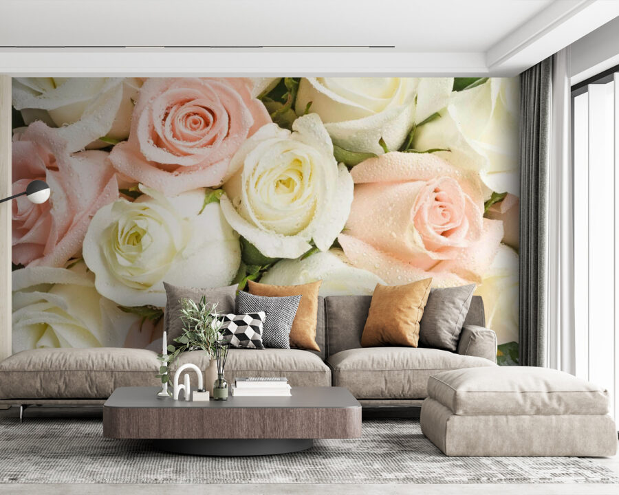 Grupo de rosas cor-de-rosa e brancas