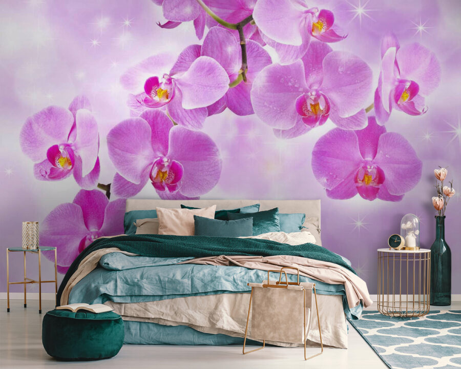 Orquídeas delicadas em tons suaves