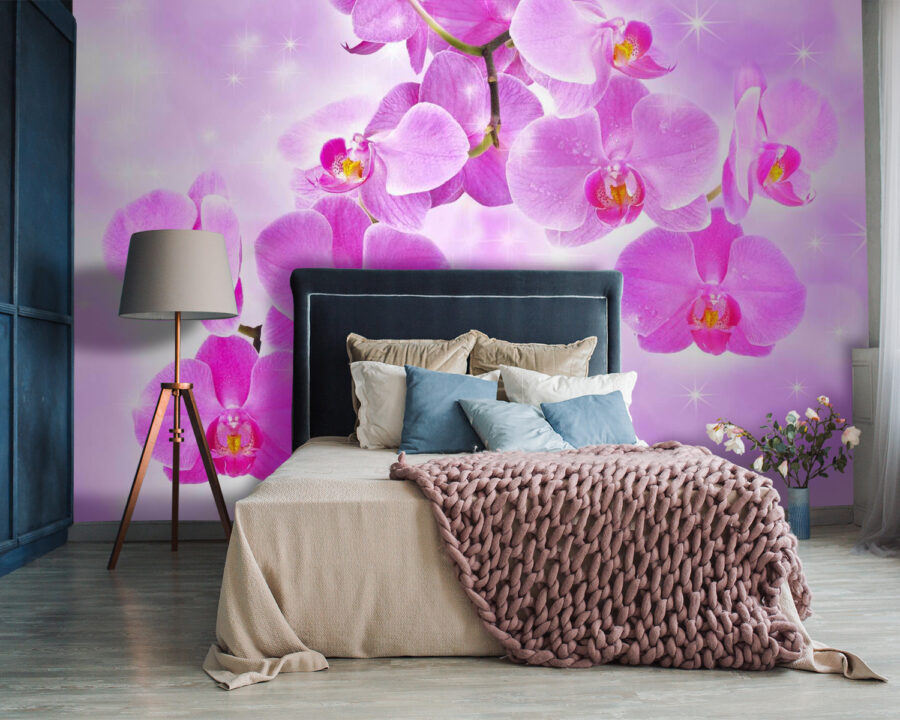 Orquídeas delicadas em tons suaves