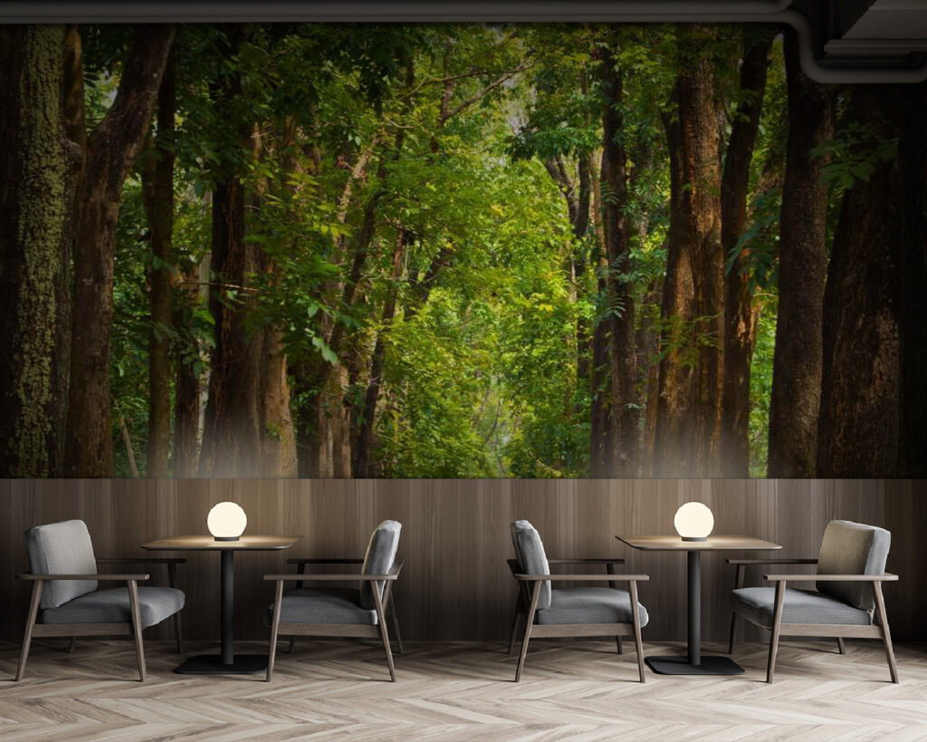 u55418piz137m 1024x819 - Caminho com árvores ao lado - tegory