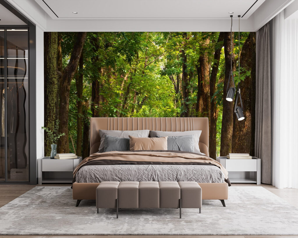 u55418pib115 1024x819 - Caminho com árvores ao lado - tegory