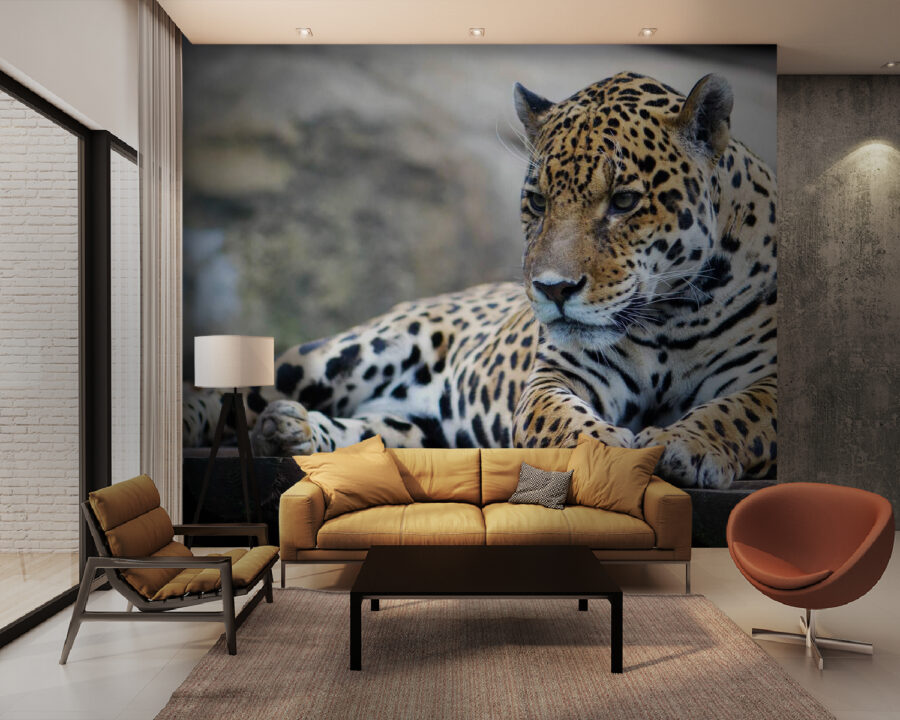 Leopardo deitado numa superfície de madeira