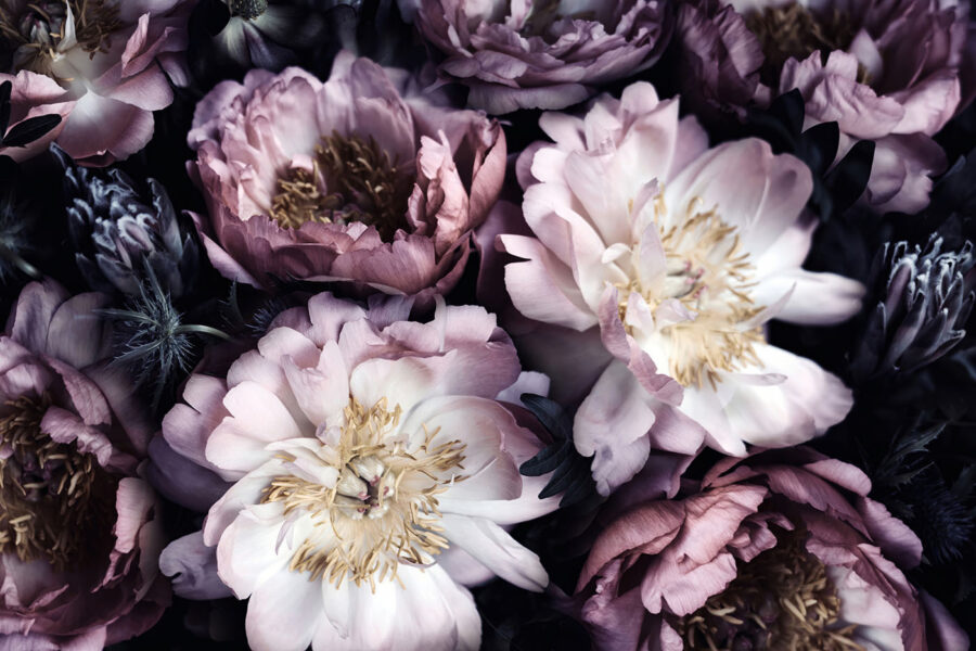 Flores elegantes em tons suaves.