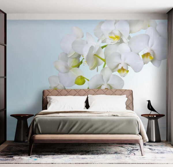 Orquídeas brancas sobre a água Orquídeas brancas sobre a água