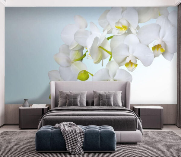 Orquídeas brancas sobre a água Orquídeas brancas sobre a água